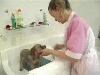 Сыпь у ребенка живот шея лицо Сыпь у ребенка живот шея лицо